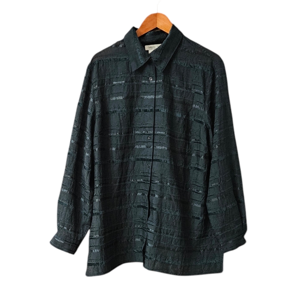 Coldwater Creek Women's Long Sleeve Blouse Size 2X Green Textured Stripes